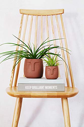 CACHEPOT MARROM EM CIMENTO, M ART