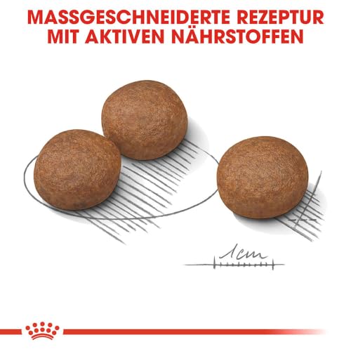 ROYAL CANIN Digestive Care MEDIUM Trockennahrung für Hunde – 12 kg