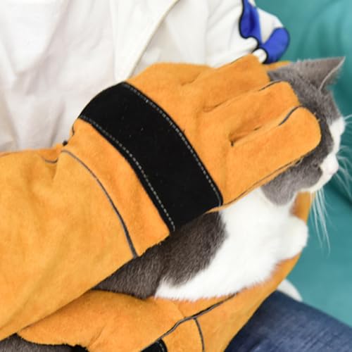 Gants de morsure de chien en cuir robuste avec protection bras renforcée