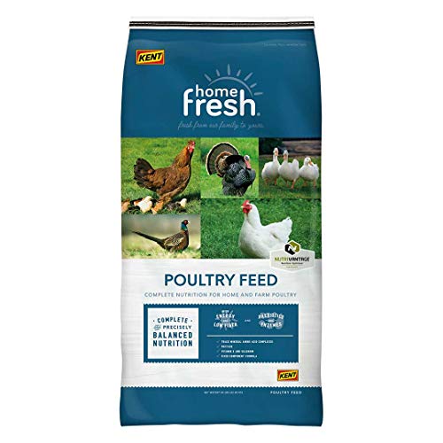 HOME FRESH Replacement Chicken Feed | Complete Nutrition for Pullets, Ducks, Geese and Game Birds | High Energy and Protein, Grow and Show Chicken Food | 50 lb Bag