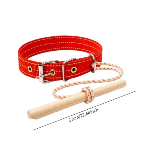 Herramienta entrenamiento antitirones para perros Colcolo con barra de madera ligera 2