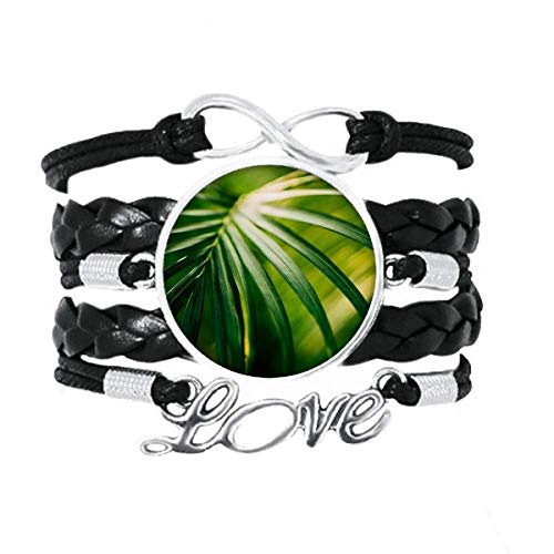 Bracelet amour bijoux cuir plante à feuilles photographie de nature vintage