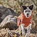 Hurtta Extreme Warmer Hundemantel, Winterjacke für Hunde Dunkelgrau 45cm