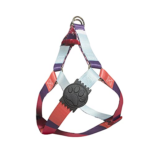 Conjunto Coleira Peitoral com Guia para Cachorros City, My Pet Brasil, Azul, Mini
