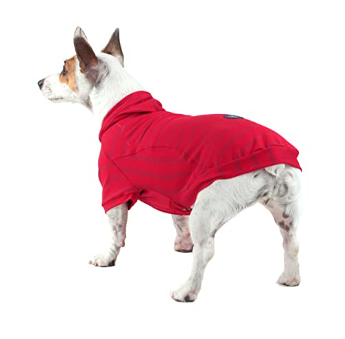 Pickorruchos Agasalho Turquesa 02 Para Cães 02 Cinza E Azul