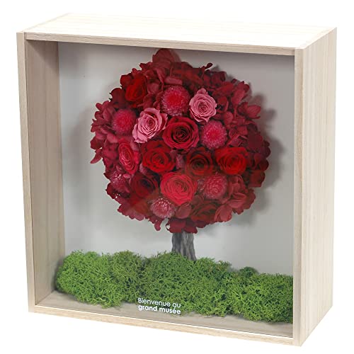 Amazon.co.jp: grand musee: プリザーブドフラワー