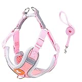 arnes perro xs  Arnés para Perros SonoReno - Arnés de Chaleco Ajustable, Chaleco Suave Reflectante, Correas - para Gatos y Cachorros，XS-Rosado