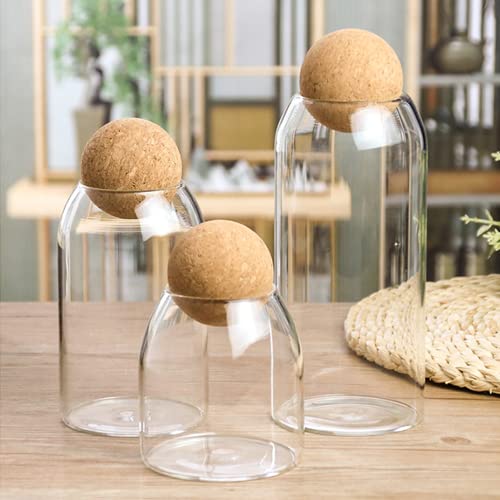 Ansqu 3 Piece Glass Storage Containers With Airtight Seal Wood Cork Ball Lids, Apothecary Jars With Lids, Candy Jar For Food, Coffee, Bean, Tea, Spice, Salt, Sugar, Cookie #TOP1