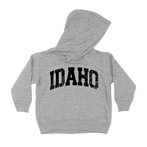 Distressed Idaho Collegiate Kids Hoodie Sweatshirt Toddler 5T Heather Grey