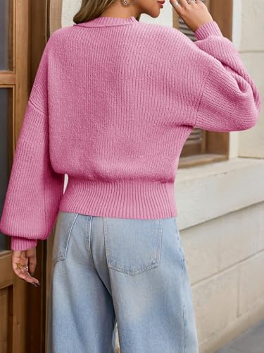 Image of Saodimallsu Womens Batwing Long Sleeve Sweaters Casual Crewneck Loose Chunky Knit Fall Pullover Tops