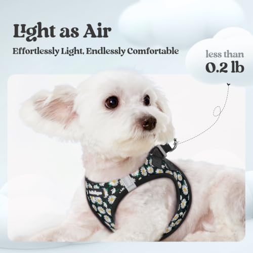 Image of rabbitgoo Dog Harness Medium Sized and Leash Set, Step-in Puppy Pet Vest