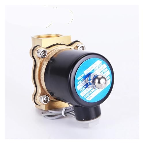 Électrovanne laiton 220V DN20 électrovanne eau air huile 2W200-20