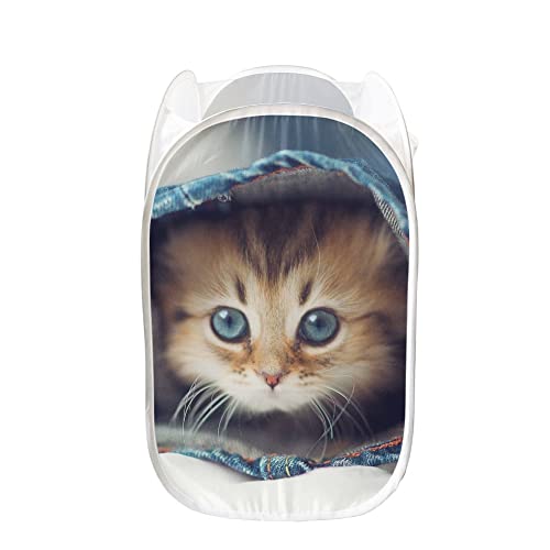 AFPANQZ Cute Cat Mesh Popup Laundry Hampers Foldable Portable Dirty Clothes Basket Organizer Collapsible Hamper for Bedroom, Kids Room, College Dorm and Travel Black Colored 85L