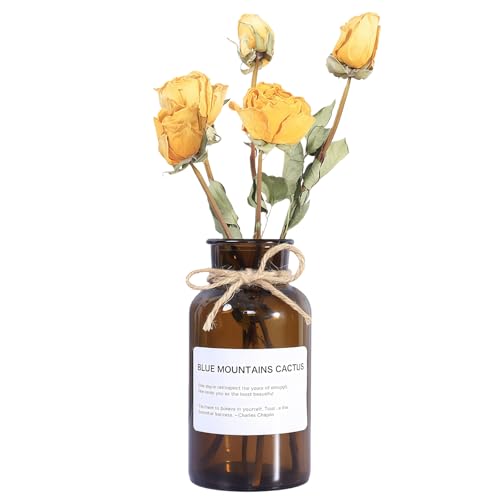 Jarrón de cristal ámbar vacío de 500 ml, jarrones de boticario, frascos de flores vintage con diseño de cuerda para arreglos florales, hogar, oficina, boda, fiesta