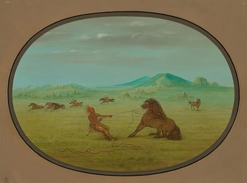 Affiche George Catlin Attraper des chevaux sauvages Pawnee toile 60x90cm