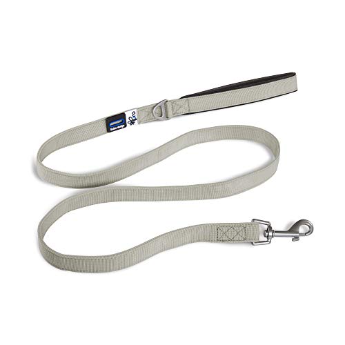 Basic Leash Gray M