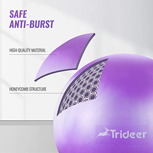 image for Trideer Newest Exercise Ball, Yoga Ball for Home Gym & Desk Chair - F
