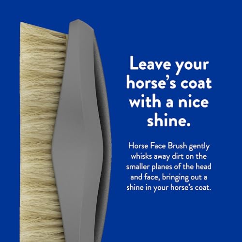 WAHL Professional Animal Equine Grooming Face Horse Brush - Black - Image 5
