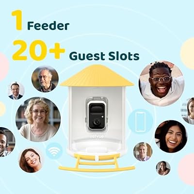 Birdfy Camera with Bamboo AI Bird Feeder Solar Camera