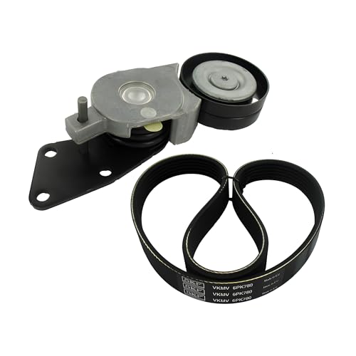 Kit de Courroie Multi-V SKF VKMA 31067 pour Distribution Moteur