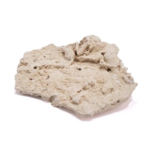 マルコロック シェルフMIX Mサイズ 10kg サンゴ 石 海水 水槽 飾り レイアウト