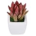 CHICHIC Set of 9 Mini Assorted Artificial Succulent Plants, Decorative Faux Succulents, Small Fake Plants for Decoration, Potted Fake Succulents with Ceramic Pots, Fake Aloe Cactus Cacti with Planters