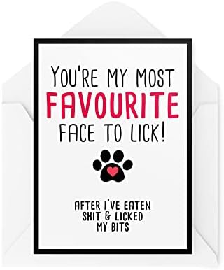 Funny Happy Birthday Cards from The Dog | Pet Lover Greeting Cards On His Birthday | Favourite Face to Lick After My Bits Girl Dog | CBH397