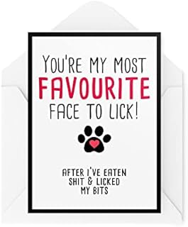 Funny Happy Birthday Cards from The Dog | Pet Lover Greeting Cards On His Birthday | Favourite Face to Lick After My Bits Girl Dog | CBH397