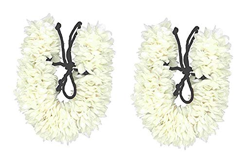 See full amazon price history chart for Bharatanatyam World White Cloth Gajra Veni Pro Basic Clip-on Hair Accessories for Women-COMBO PACK OF 2 Bharatanatyam World White Cloth Gajra Veni Pro Basic Clip-on Hair Accessories for Women-COMBO PACK OF 2 (B08M3XT642) Amazon Price History, Amazon Price Tracker