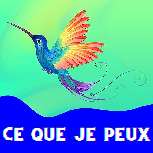 Couverture de Ce que je peux