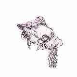 Flores en Lugar de los Arándanos