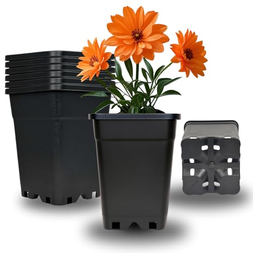 Cultonix Viereckiger Blumentopf 1L – 5er Set | Pflanztopf eckig Kunststoff, Anzuchttöpfe für Balkon & Terrasse, Blumentöpfe Indoor Outdoor, Einsatz für Pflanzkübel groß außen Cultonix Viereckiger Blumentopf 1L – 5er Set | Pflanztopf eckig Kunststoff, Anzuchttöpfe für Balkon & Terrasse, Blumentöpfe Indoor Outdoor, Einsatz für Pflanzkübel groß außen