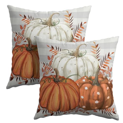 Fall Pumpkins Outdoor Pillows 18x18 Inch Set of 2 Autumn
