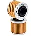 Road Passion High Performance Oil Filter Replacement for BMW G650GS 2009-2015 F650 GS ABS 652 2004-2005 G650GS Sertao 650 2012-2015 (pack of 2)