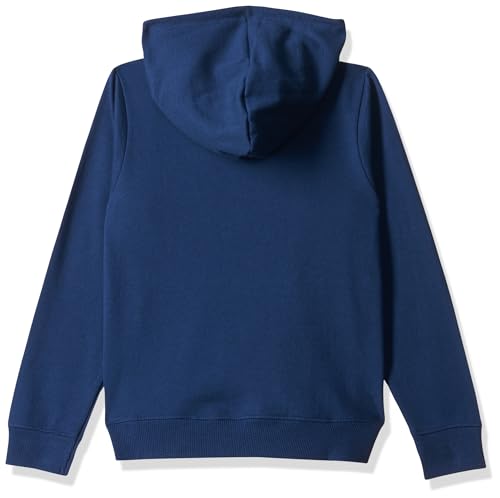 Image of Boy's Cotton Fleece Hooded Sweatshirt with Kangaroo Pocket