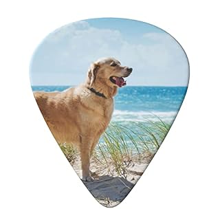 ASDTEHCY Lot de 6 médiators en celluloïd, Golden Retriever, fins, moyens et lourds pour guitares acoustiques… - Les Beatles, Paul McCartney, John Lennon, RIngo Starr, George Harrison ASDTEHCY Lot de 6 médiators en celluloïd, Golden Retriever, fins, moyens et lourds pour guitares acoustiques… – Image 3