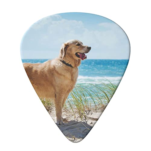 ASDTEHCY Lot de 6 médiators en celluloïd, Golden Retriever, fins, moyens et lourds pour guitares acoustiques… - Les Beatles, Paul McCartney, John Lennon, RIngo Starr, George Harrison ASDTEHCY Lot de 6 médiators en celluloïd, Golden Retriever, fins, moyens et lourds pour guitares acoustiques… – Image 4