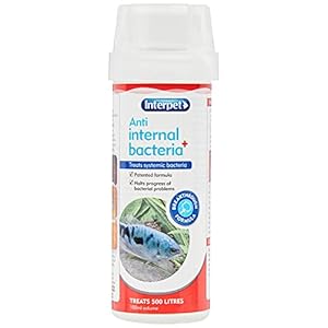 Interpet Anti Internal Bacteria Treatment for Aquarium Fish, Halts Progress of Bacterial Problems, 100 ml, Treats 500 litres