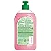 FROSCH Natural Liquid Dish Soap, Vegan Hand Dishwashing Detergent, Pomegranate, 500 ml, pack of 2