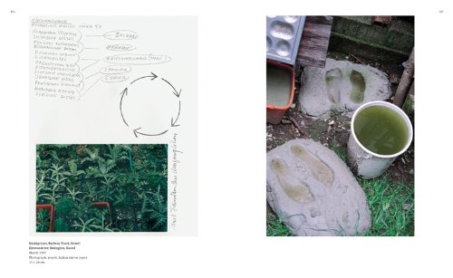 Lois Weinberger: (E/ G) (Zeitgenössische Kunst)