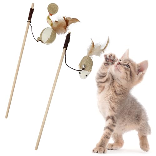 HOMEBASICS 2_Zbg L  L炵 t e[v Ht lY~ ʂ݃{[ ނ ؐ C^NeBuȂ ˂ߋ L lf łňS y  ^s ͕ؗs XgX L