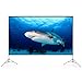 Produktbild Beamer Leinwand 150 Zoll 300x220cm 4:3 Keine Falte tragbar Projektion Leinwand 4K HD 3D Projektionsfläche
