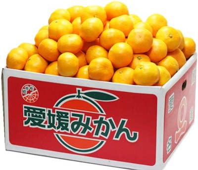 Amazon お試しみかん10 光センサー選果合格品 お試し品sサイズ 愛媛西宇和産みかん10キロ 1 5営業日以内当店発送 株式会社国安青果 みかん 柑橘類 通販