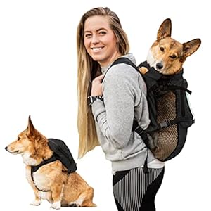 K9 Sport Sack Walk-On | Dog Carrier Dog Backpack with Harness & Storage (Small, Anthracite Black)