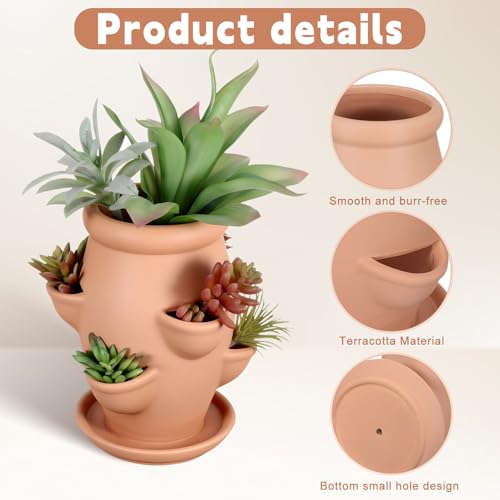 Plantes grasses sans pourriture grâce au pot de fleurs en céramique à poches - 4