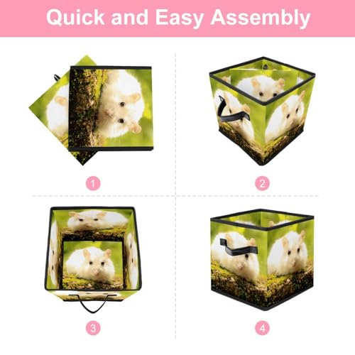 Placard encombré ? Découvrez notre boîte de rangement pliable blanche - 6