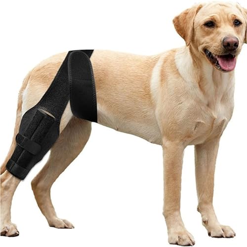 犬用膝ブレース(後脚用)、調節可能な犬用後脚サポートブレース、股関節サポートで痛みを軽減、手術創保護、怪我や膝蓋骨脱臼を防止、小型犬、中型犬、大型犬用(L)