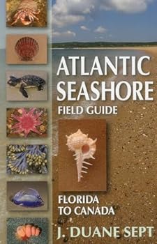 Paperback Atlantic Seashore Field Guide Book