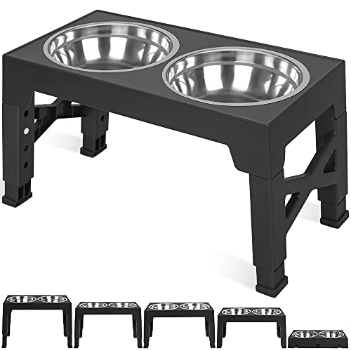 Top 10 Elevated Dog Food Bowls for Healthy and Happy Pups Our Buying Guide and Reviews! Furry