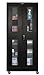 800 Series 2 Door Storage Cabinet Color: Midnight Ebony